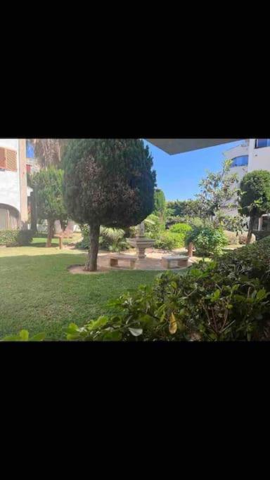 Estudio Montanar A 50 Metros Del Mar Γιαβέα Εξωτερικό φωτογραφία